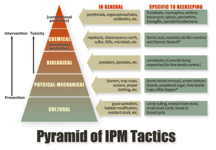 ipm-pyramid.png